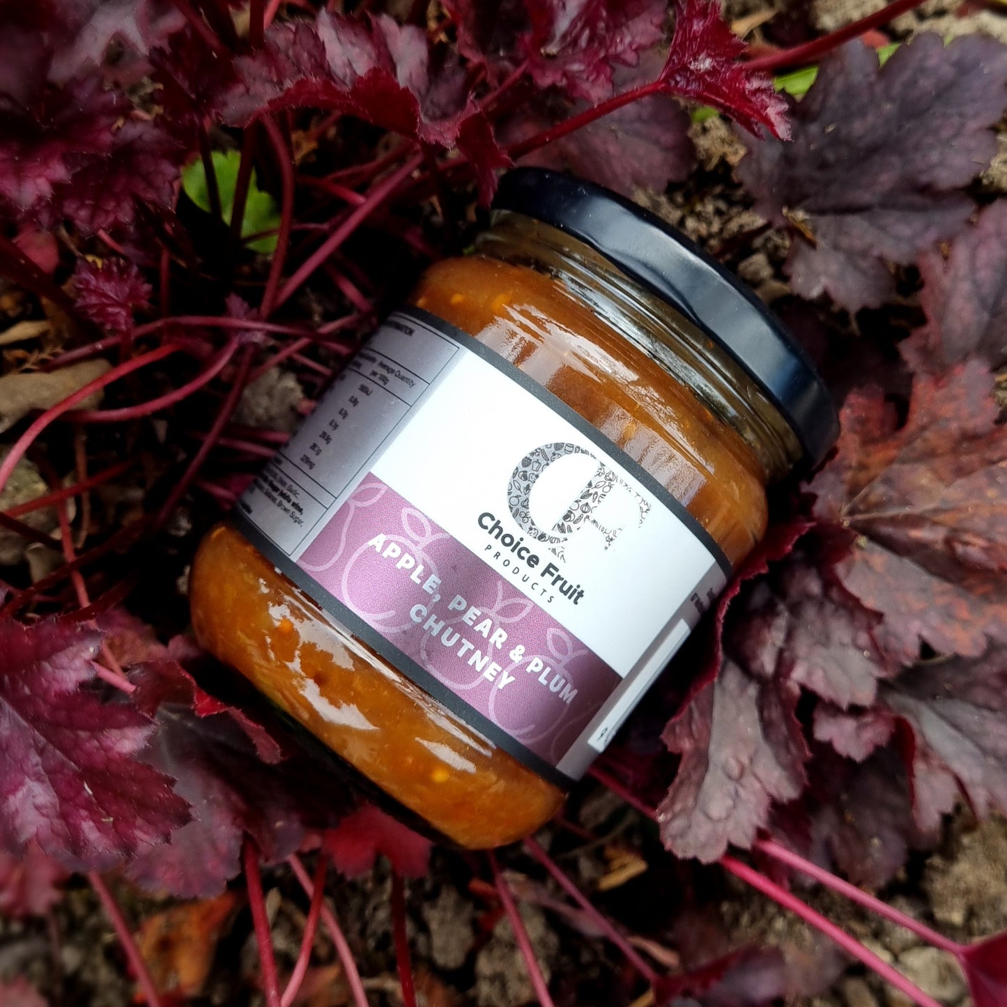 Apple, Pear & Plum Chutney - 70g / 210g / 380g / 1kg