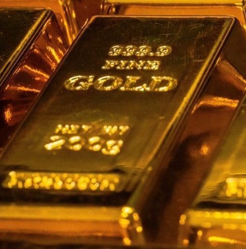 Annual Subscription - Gold 