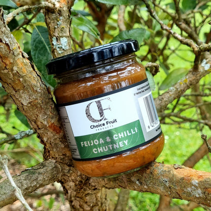 Feijoa & Chilli Chutney
