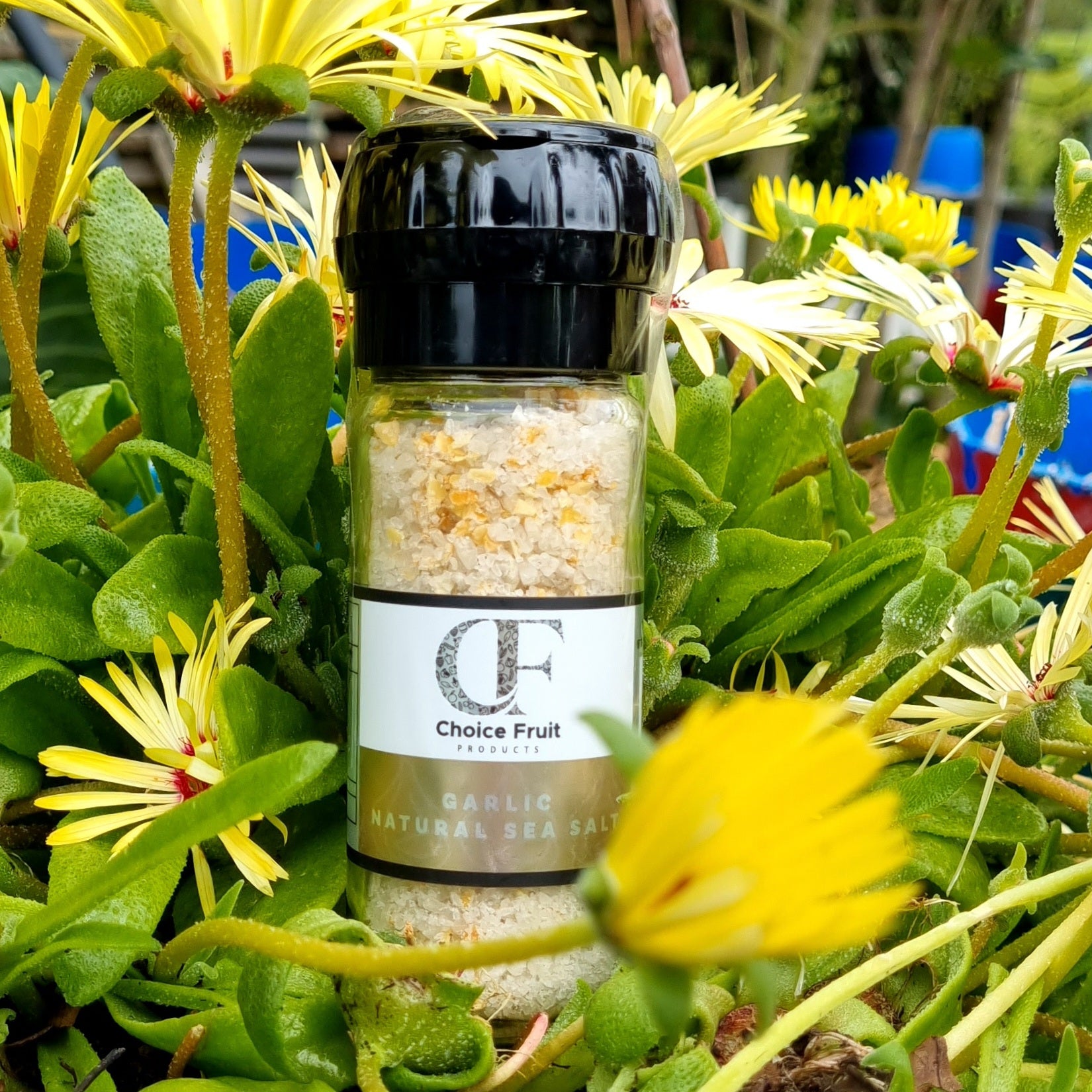 Garlic Natural Sea Salt