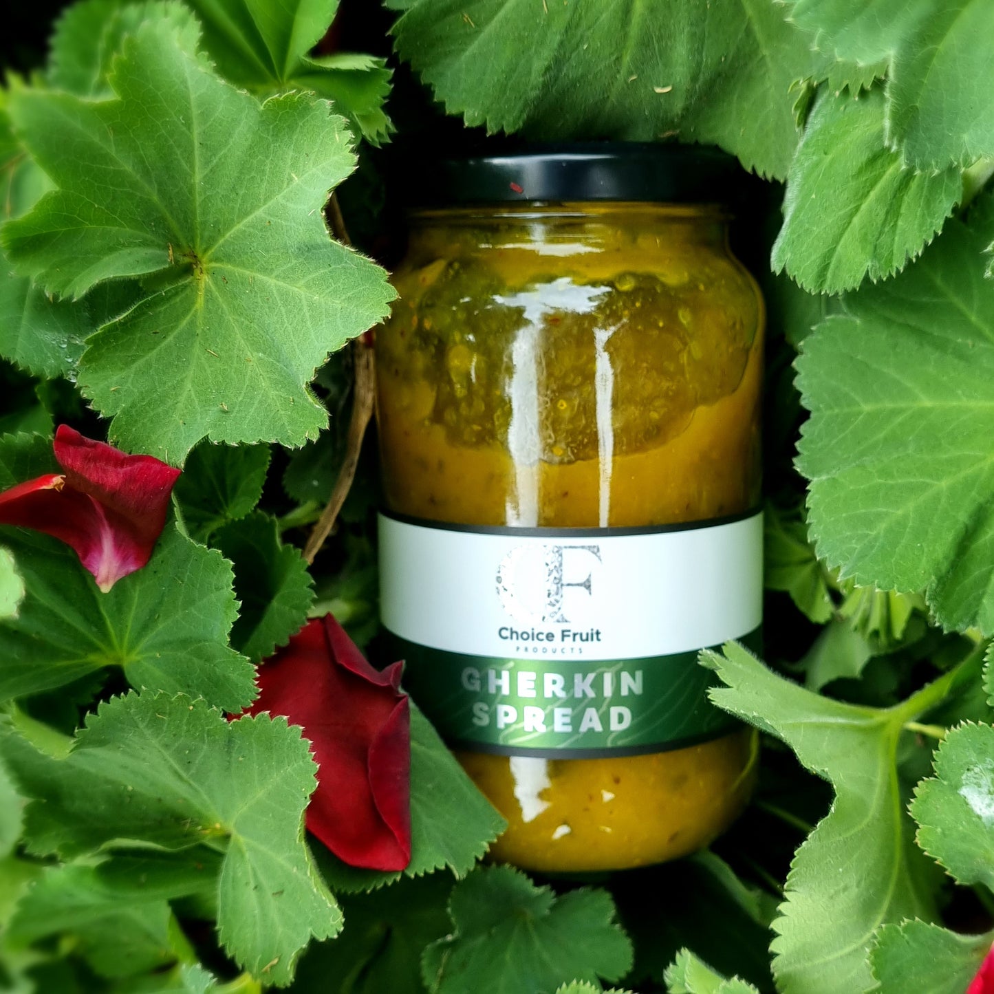 Gherkin Spread