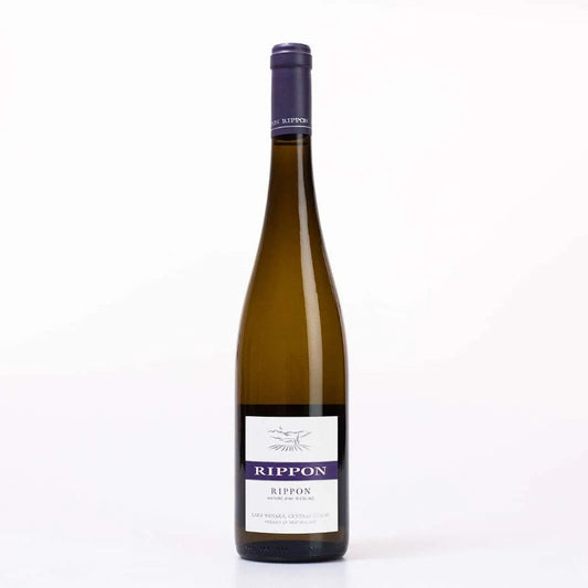 A bottle of wine wrapped in a clear plastic bag with a yellow ribbon bow, placed on a table with a tree and foliage in the background.